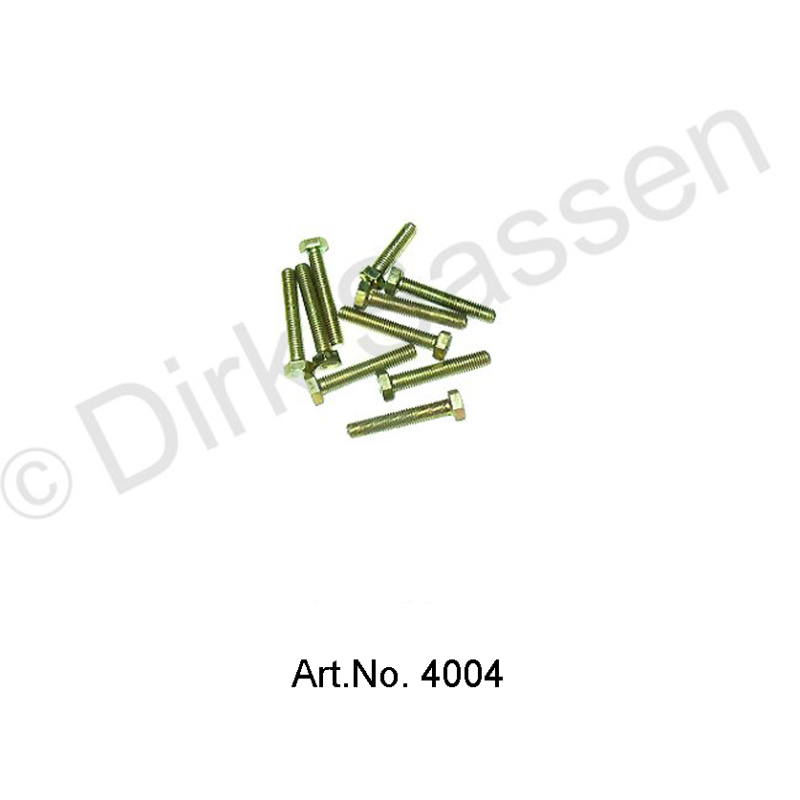 Schraube, M5 x 40 (10 Stück)