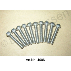 Screw, M5 x 30, stainless steel (10 pieces)