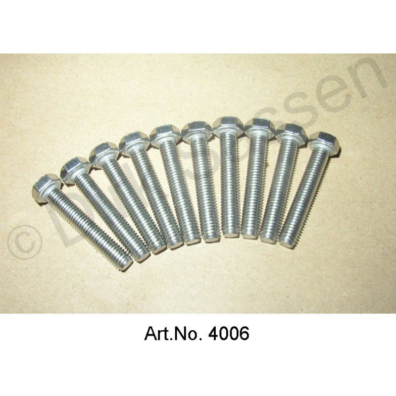 Tornillo, M5 x 30, acero inoxidable (10 piezas)